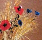 Fiordaliso-alluncinetto